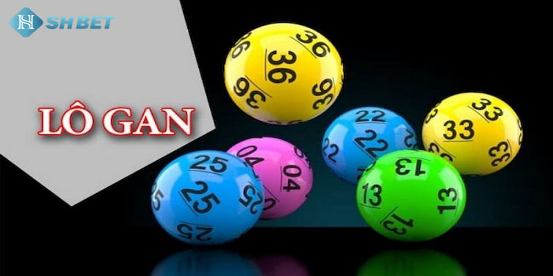 Banner www.seashorehotel.com.vn