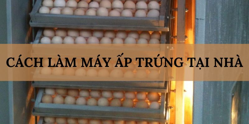 Banner www.seashorehotel.com.vn