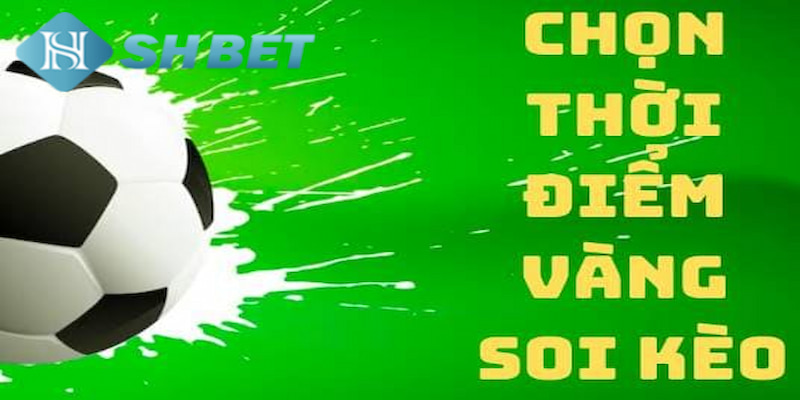 Banner www.seashorehotel.com.vn