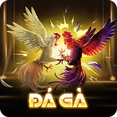 Banner www.seashorehotel.com.vn