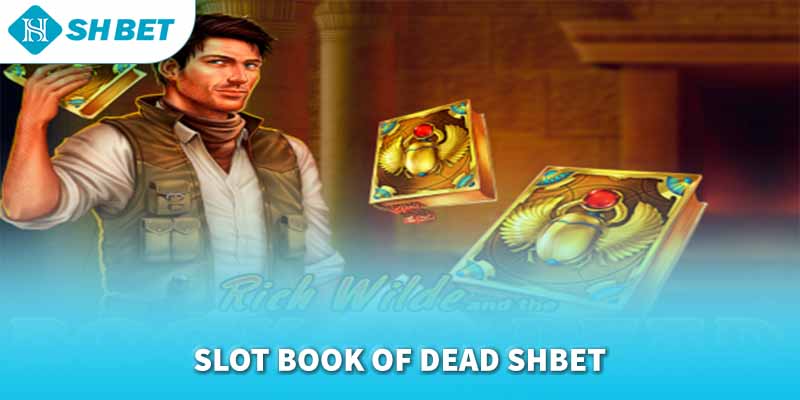 Banner www.seashorehotel.com.vn